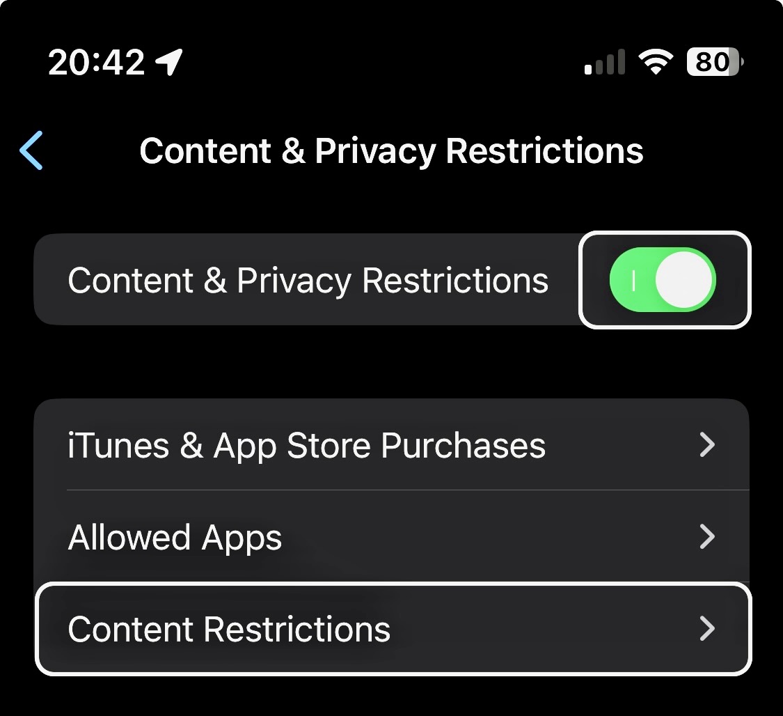 Screenshot of iPhone privacy and content restriction menu.